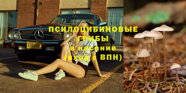 дживик Аркадак