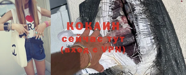 дживик Аркадак