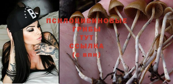 стаф Алексин