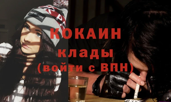 стаф Алексин