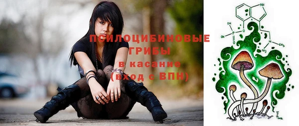 тгк Армянск