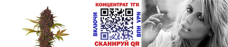 Дистиллят ТГК Wax  купить   Ахтубинск 