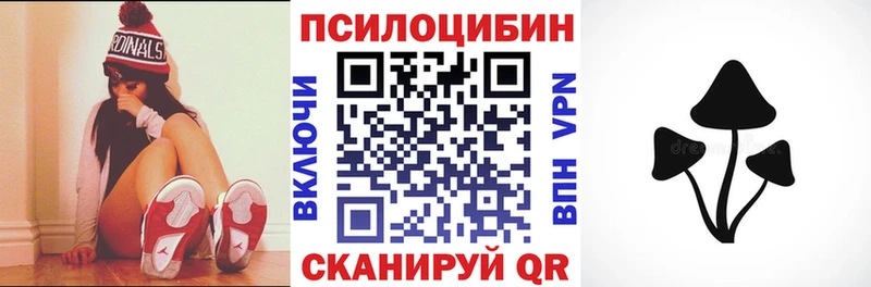 Галлюциногенные грибы Cubensis  omg ссылки  Ахтубинск 